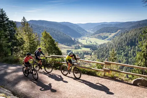 Drei Mountainbiker mit Helmen an einem Aussichtspunkt mit Blick ins bewaldete Schwarzwaldtal