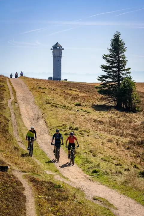 Mountainbiker fahren auf einem Grasweg zum Feldbergturm, Alpenpanorama im Hintergrund