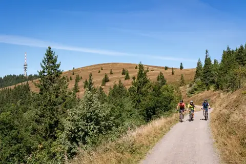 Drei Mountainbiker auf Schotterweg vor Feldberg-Gipfelkuppe mit Sendemast