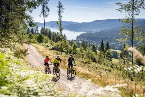 Drei Mountainbiker auf Schotterweg mit Panoramablick auf See und bewaldete Schwarzwaldhöhen
