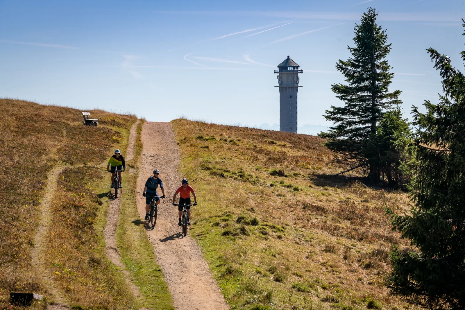 Mountainbiker auf dem Gipfeltrail am Feldberg, im Hintergrund der Aussichtsturm