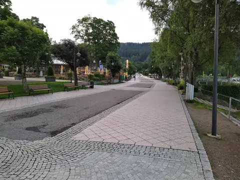 Gepflasterte Seestraße in Titisee am frühen Morgen mit Bäumen und Restaurants im Hintergrund
