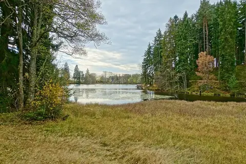 Stilles Seeufer am Schlüchtsee mit Schilfgras, Steg und umgebenden Nadelbäumen im Schwarzwald