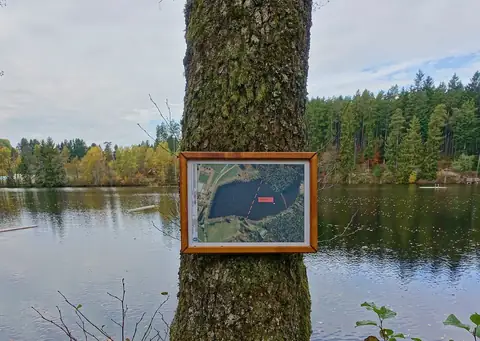 Informationstafel am Baum am Schlüchtsee mit Luftbildkarte, herbstlicher Wald im Hintergrund