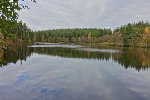 Schlüchtsee bei Grafenhausen im Herbst, spiegelnde Wasseroberfläche mit umliegendem Mischwald