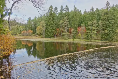 Schlüchtsee mit Herbstreflexionen im Wasser, umgeben von Nadel- und Laubbäumen im Schwarzwald