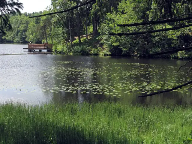 Schlüchtsee bei Grafenhausen mit Seerosenfeld und Holzsteg im Schwarzwald