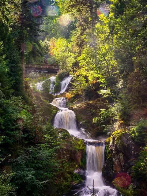 Mehrstufige Triberger Wasserfälle im Schwarzwald, umgeben von sommerlichem Laubwald mit Holzbrücke