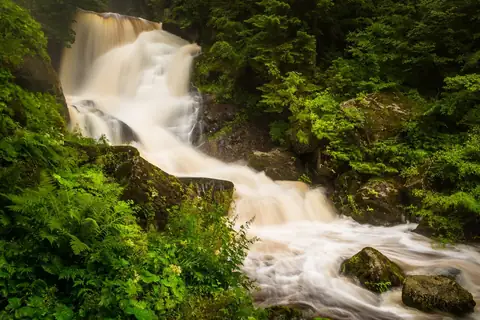 Triberger Wasserfall stürzt mehrstufig über moosige Felsen, umgeben von dichtem grünem Wald