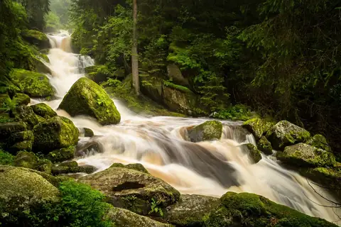 Triberger Wasserfälle mit schäumendem Wasser über moosbewachsene Felsen im Schwarzwälder Wald