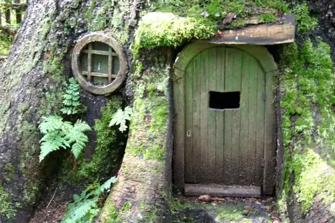Kleine grüne Holztür und rundes Fenster in einem bemoosten Baumstamm im Wald