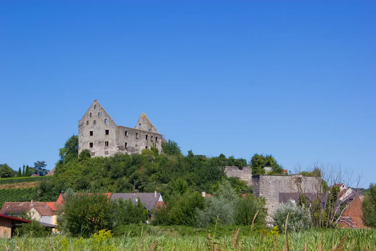 Burgruine Burkheim auf bewaldeten Hügel über dem Dorf Burkheim, blauer Sommerhimmel