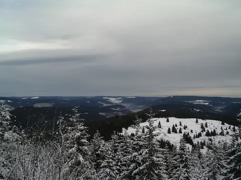 Winterliches Schwarzwald-Panorama mit verschneiten Tannen und weitem Blick ins Tal