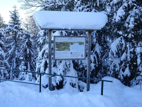 Verschneite Infotafel zum Thema Eiszeit am Naturerlebnispfad Hinterzarten im Winter