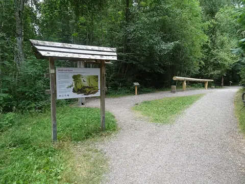 Infotafel 'Wald und Sinne' am Naturerlebnispfad Hinterzarten mit Rundholzbank im Hintergrund