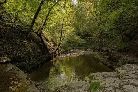 Stiller Bachlauf in der Gauchachschlucht, umgeben von moosbedeckten Felsen und sommerlichem Laubwald