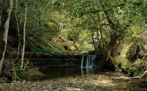 Kleiner Wasserfall in der Gauchachschlucht mit bemoosten Felsen und ruhigem Becken im Laubwald
