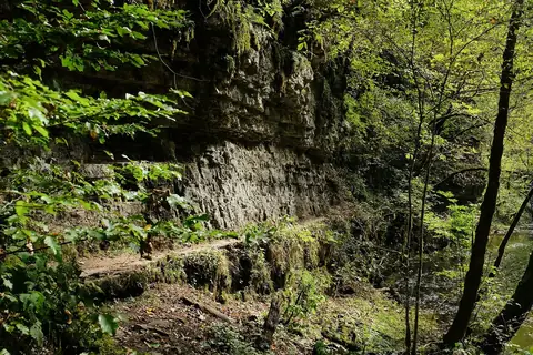 Schmaler Wanderpfad entlang moosbewachsener Felswand in der Gauchachschlucht