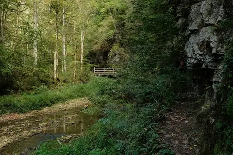 Schmaler Wanderweg entlang der Gauchach mit Holzbrücke und bemoosten Felswänden im Schwarzwald