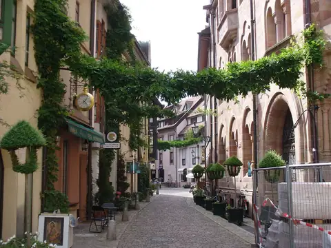 Begrünte Kopfsteinpflastergasse in der Freiburger Altstadt mit historischen Fachwerkhäusern