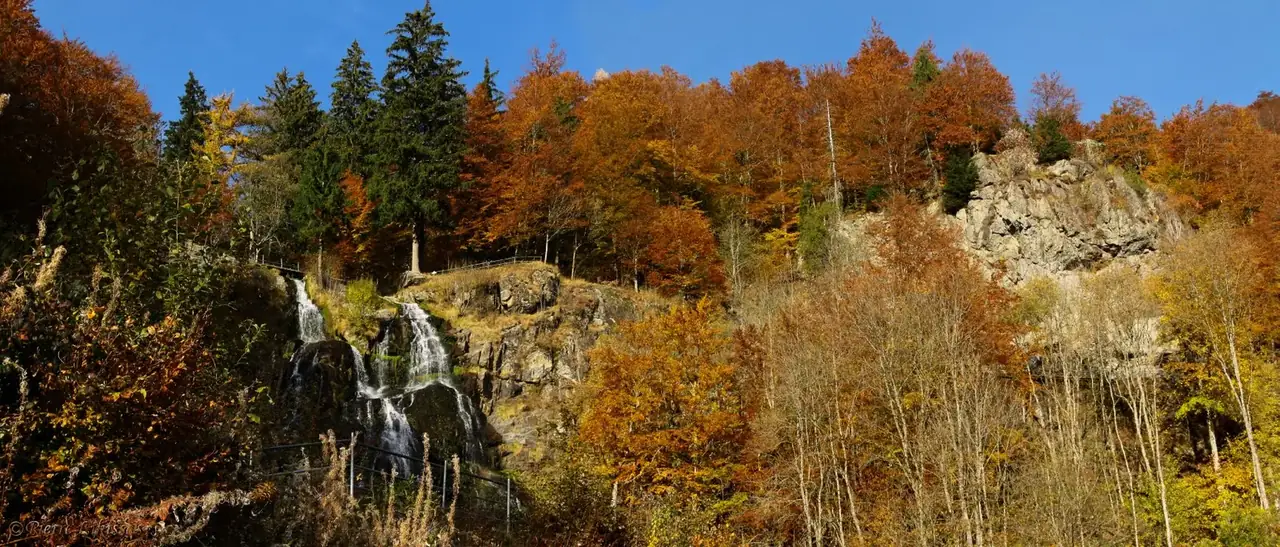 Todtnauer Wasserfall stürzt über eine Felsstufe, ringsum herbstlich gefärbter Laubwald