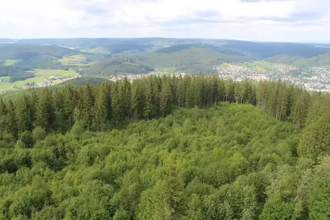 Aussicht vom Hochfirstturm über Wald und Ortschaft im Schwarzwald