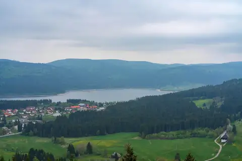 Blick vom Riesenbühlturm auf den Schluchsee mit umliegendem Ort und Waldhügeln