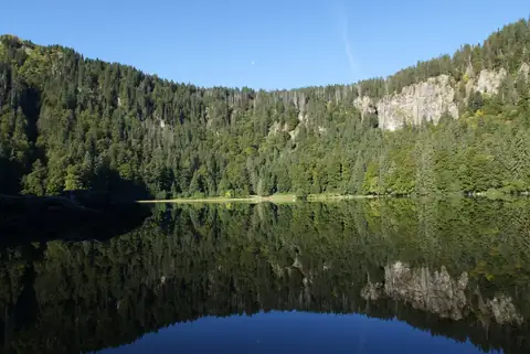 Feldsee im Schwarzwald mit Spiegelung von Tannenwald und Felswänden im stillen Wasser