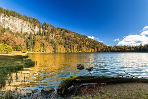 Feldsee im Herbst mit buntem Mischwald und Felsband, ruhige Wasseroberfläche, Schwarzwald
