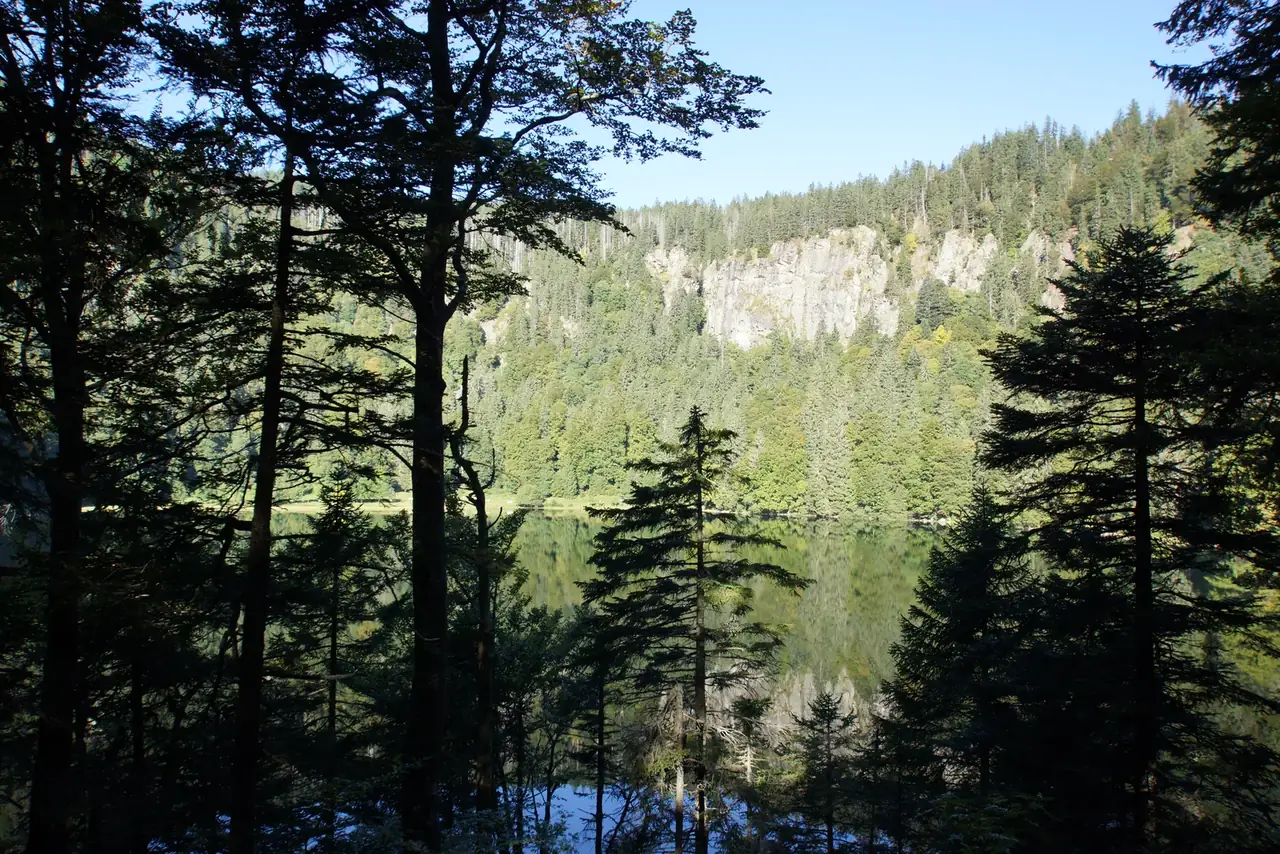 Feldsee im Schwarzwald, umgeben von Tannen und Felsen, ruhige Wasseroberfläche spiegelt den Wald