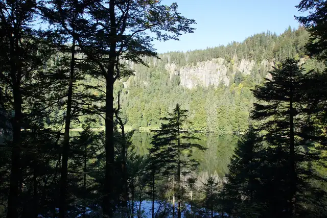 Feldsee im Schwarzwald, umgeben von Tannen und Felsen, ruhige Wasseroberfläche spiegelt den Wald