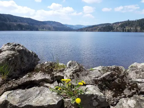 Badestelle am Titisee