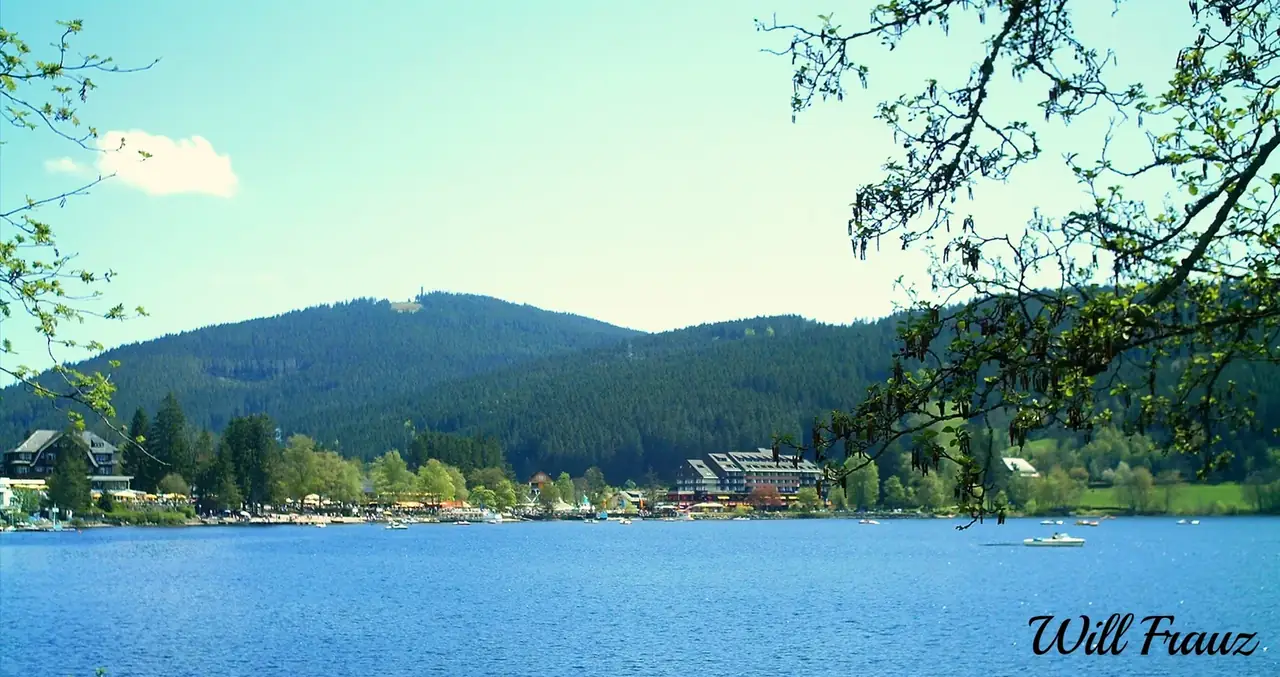 Blick über den Titisee auf Ufer mit Hotels, Uferpromenade und bewaldeten Hang im Hintergrund