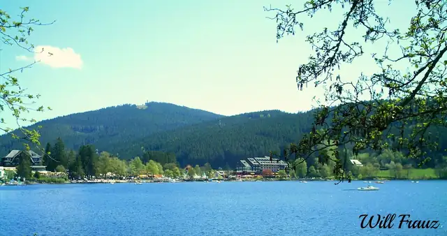 Blick über den Titisee auf Ufer mit Hotels, Uferpromenade und bewaldeten Hang im Hintergrund