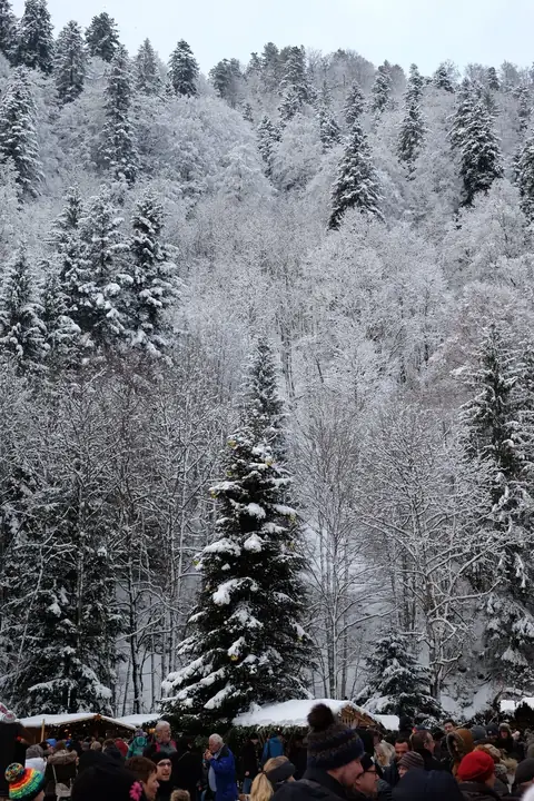 Verschneiter Nadelwald am Hang, im Vordergrund ein geschmueckter Weihnachtsbaum und Marktstaende mit Besuchern