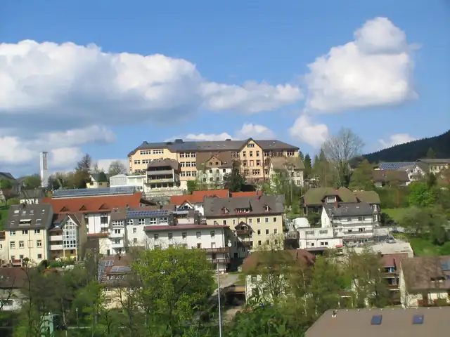 Hangansicht von Titisee-Neustadt mit Wohnhäusern und großem Gebäude vor Waldberg