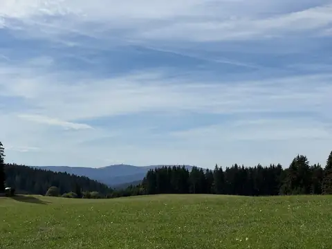 Blick über Wiese und Wald zum Feldberg mit Turm am Horizont