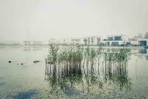 Nebliger Herbstmorgen an einem See mit Schilf im Vordergrund und modernen weißen Gebäuden im Hintergrund