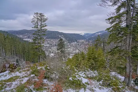 Blick vom Aussichtspunkt Luisenruhe über St. Blasien, Domkuppel klein im Talort zwischen Nadelbäumen erkennbar