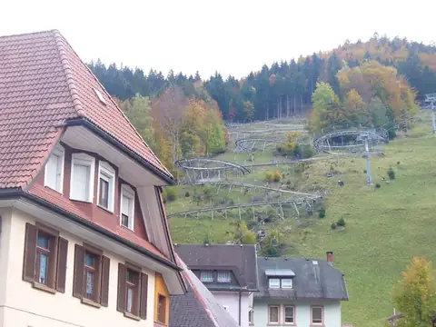 Blick auf eine Sommerrodelbahn an einem bewaldeten Hang in Todtnau, im Vordergrund Hausdächer