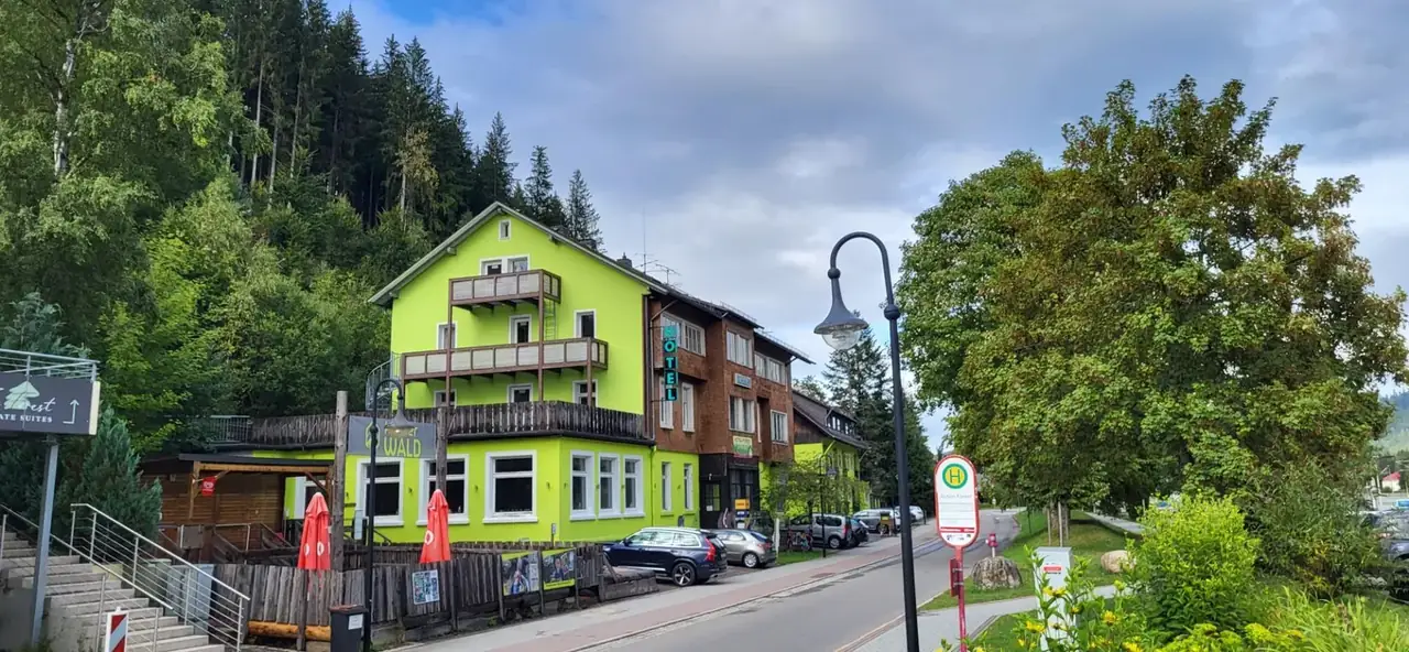 Straße in Waldgebiet mit gelbgrünem Gebäude und Hotel-Schriftzug, Bushaltestelle im Vordergrund