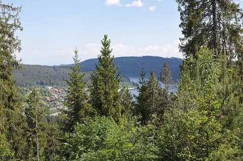 Blick durch Schwarzwald-Bäume auf den Schluchsee mit Ortschaft im Tal