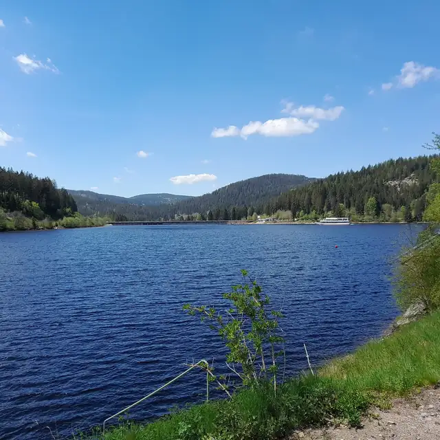 Blick über den Schluchsee zur Staumauer mit bewaldeten Hügeln im Hintergrund, blauer Himmel