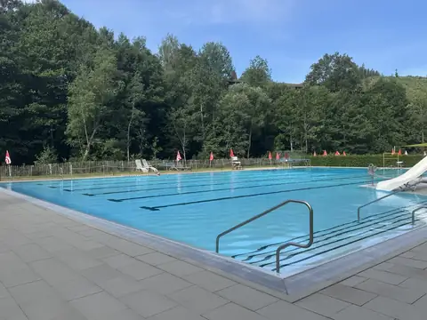 50-Meter-Becken des Freibads Lenzkirch mit Schwimmbahnen und Einstiegstreppe, dahinter der Waldrand