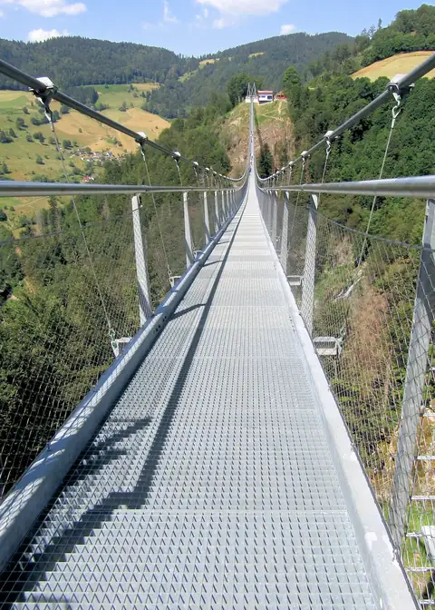Blick entlang der Blackforestline Hängebrücke Todtnauberg über das grüne Schwarzwaldtal