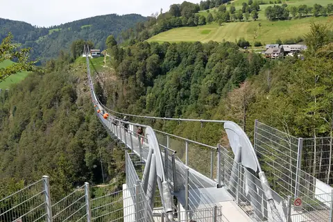 Blackforestline Hängebrücke Todtnau, Blick entlang der Stahlkonstruktion über das bewaldete Tal