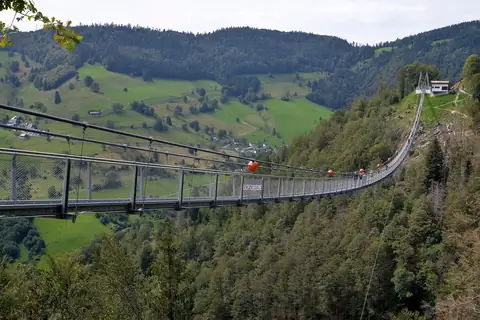 Blackforestline Hängebrücke Todtnau, Blick entlang der Stahlseilbrücke über bewaldetes Tal mit grünen Hügeln