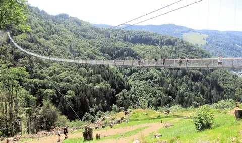 Hängebrücke Blackforestline bei Todtnauberg über bewaldete Schlucht mit Besuchern